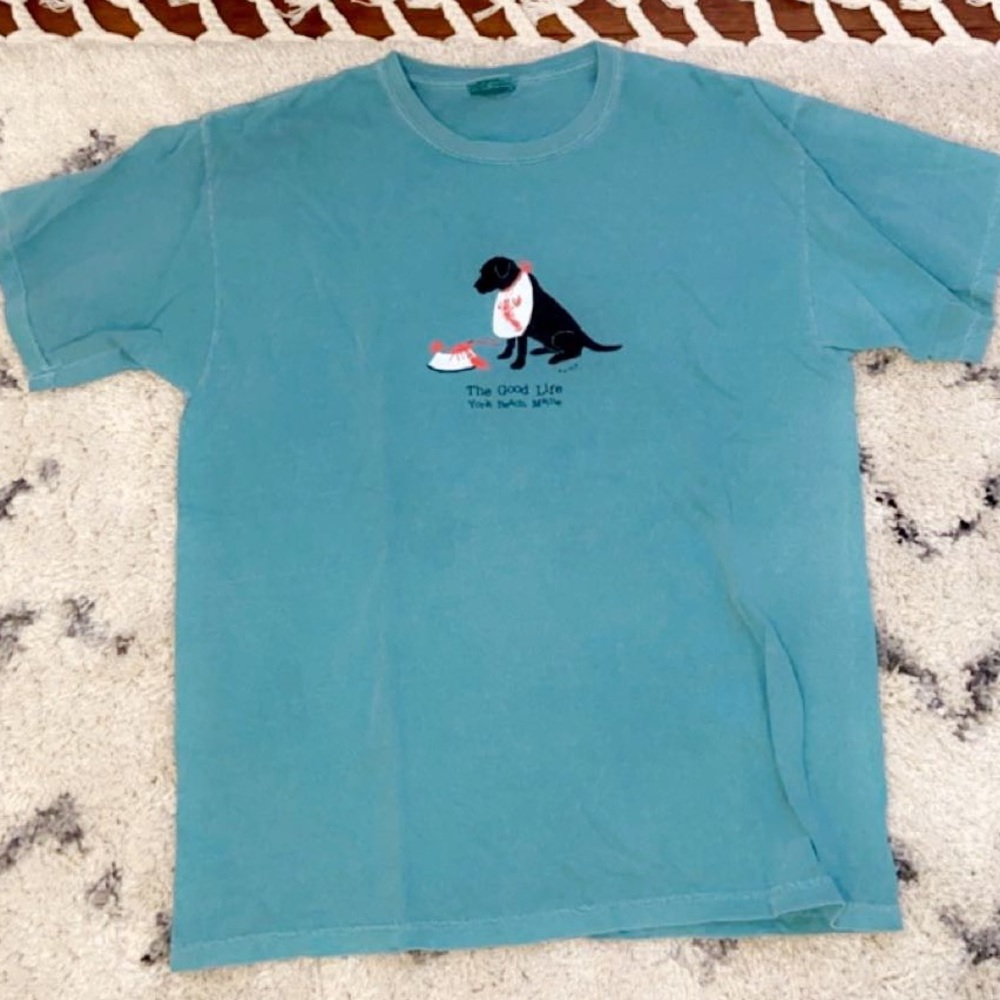 Unisex Comfort Colors oversized T Shirt